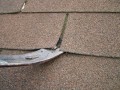 Double the Life of your Asphalt-Shingle Roof Guide