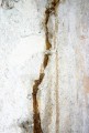 Basement Waterproofing Contractor Hiring Guide & Checklist
