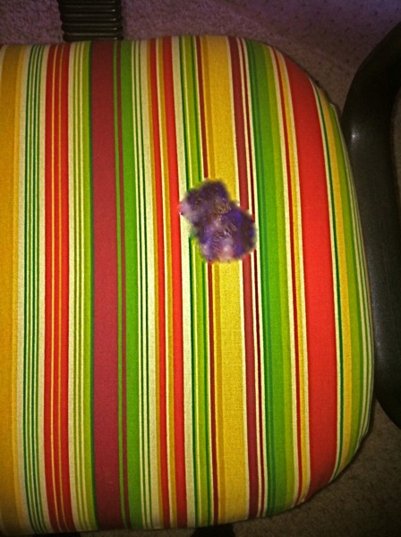chair01.jpg