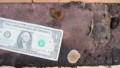 Trex Decking & Mushroom Problems